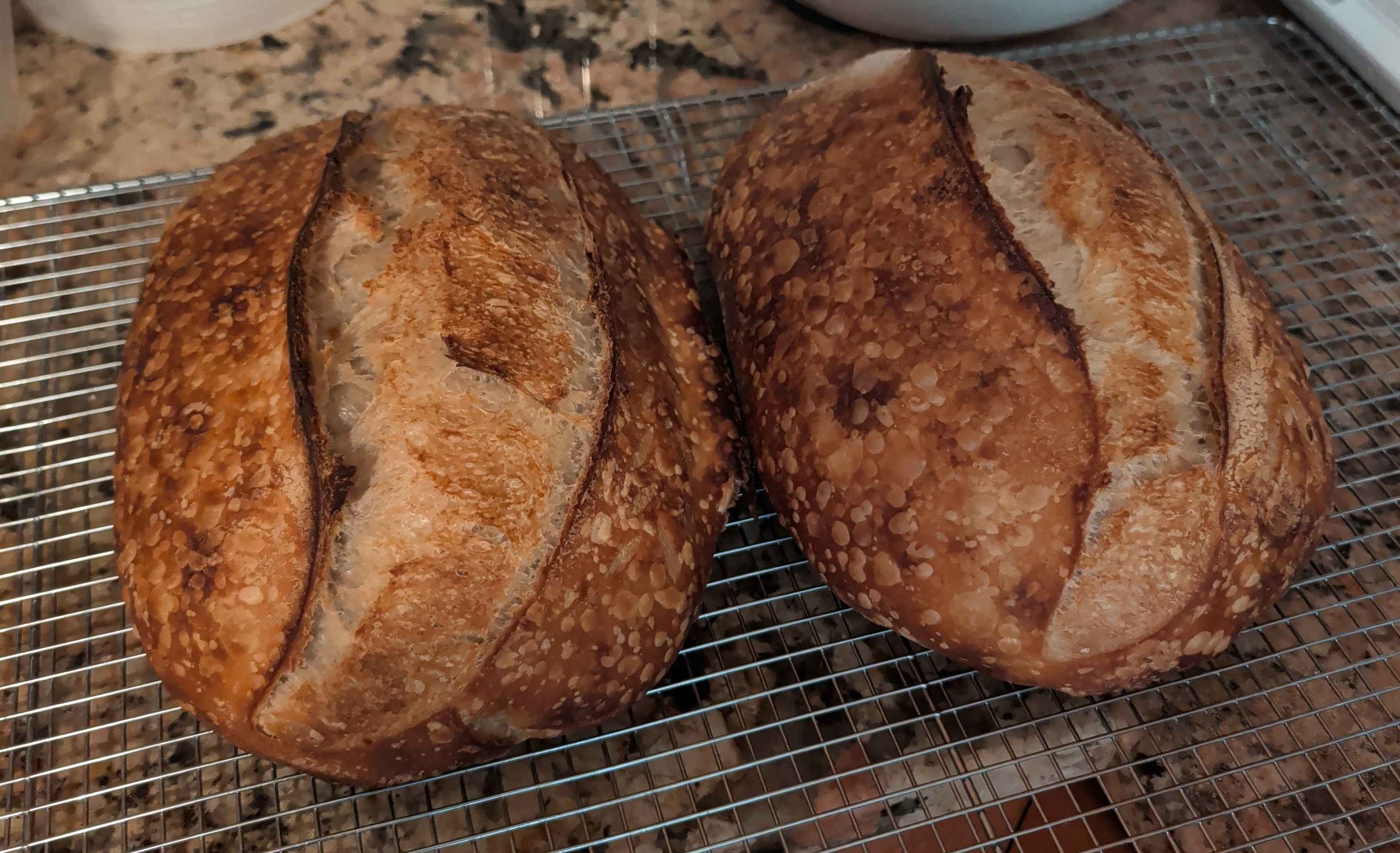 Sourdough Bread